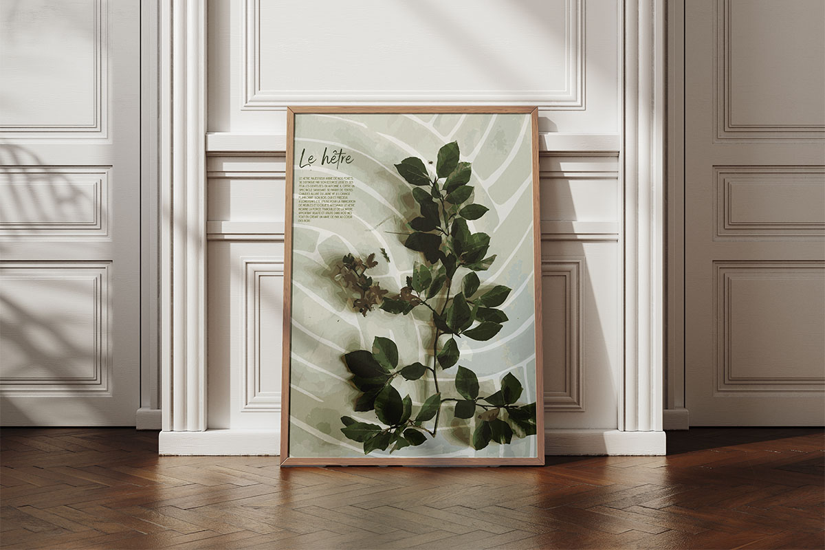 Posters